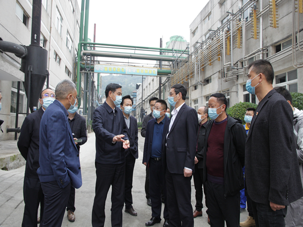 1-1張市長(cháng)調研_副本.jpg